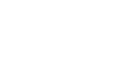 The Partini Club